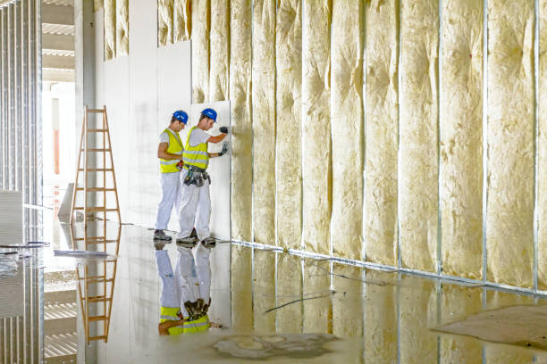 Best Blown-In Insulation  in Des Peres, MO